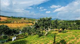 Bán Đất Ven Đà Lạt, View Hồ Cực Đẹp. Liên hệ: 0335497777 - Ảnh 3