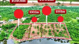 Bán Đất Ven Đà Lạt, View Hồ Cực Đẹp. Liên hệ: 0335497777 - Ảnh 2