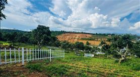 Bán Đất Ven Đà Lạt, View Hồ Cực Đẹp. Liên hệ: 0335497777 - Ảnh 6