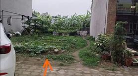 Đón sóng Khu Kinh Tế Ninh Cơ-Cơ hội vàng sở hữu đất biển trước khi bức phá - Ảnh 4