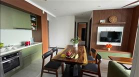 Cho thuê căn hộ 2 phòng ngủ FPT Plaza2 đầy đủ nội thất mới, đẹp - Ảnh 2