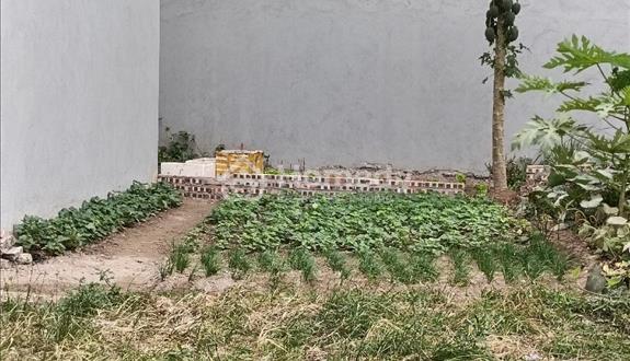 Bá.n 42m2 đất đẹp Bát Khối 3.55ty trong đê không QH - Ảnh 1