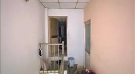 Bán nhà hẻm Lê Văn Quới quận Bình Tân, hẻm trước nhà 6m - Ảnh 3