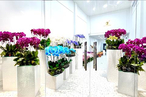 Giảm 3 TỶ - Chủ nhà cần bán gấp - MT Nguyễn Thái Sơn