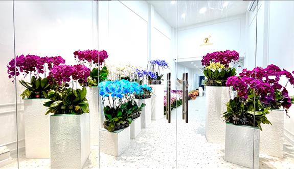 Giảm 3 TỶ - Chủ nhà cần bán gấp - MT Nguyễn Thái Sơn - Ảnh 1