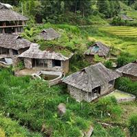 Bán homestay view lúa siêu đẹp tại Sử Pán, Sa Pa. pháp lí rõ ràng