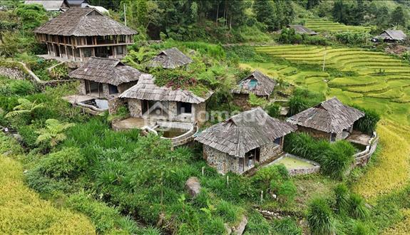 Bán homestay view lúa siêu đẹp tại Sử Pán, Sa Pa. pháp lí rõ ràng - Ảnh 1