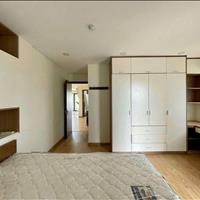 Căn hộ cao cấp Phúc Yên, P15,Tân Bình 120m2, 3p ngủ giá 14tr/th
