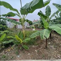 Bán lô đất 55m2 tại Tràng Duệ An Dương Hải Phòng