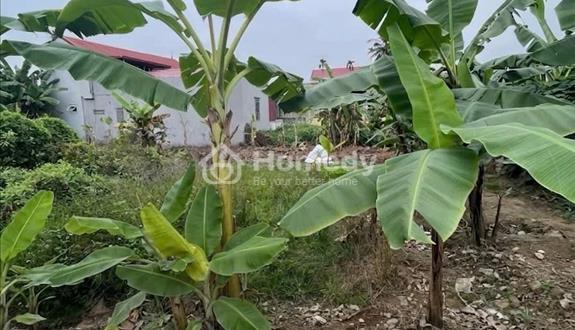 Bán lô đất 55m2 tại Tràng Duệ An Dương Hải Phòng - Ảnh 1
