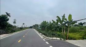 Bán lô đất 55m2 tại Tràng Duệ An Dương Hải Phòng - Ảnh 3