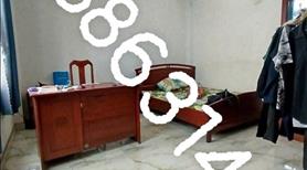 💥 Kèo Thơm Bán Nhà 1 Trệt 1 Lầu Giá 650Tr , Mỗi Tháng 'Đút Túi' 8 Triệu/Tháng Ở Ấp 3 Bình Chánh - Ảnh 3