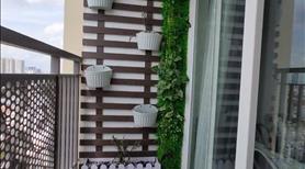 Căn hộ 3p ngủ-Carillon 1-Hoàng Hoa Thám-Tân Bình  giá 11,5tr/tháng - Ảnh 7