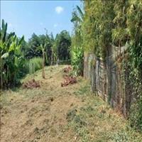 Bán đất mặt tiền tại trung tâm phường Tân Hạnh (P.8 cũ) Vĩnh Long.
