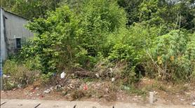 Chính chủ bán đất 179m² - Tân Định 08, Bắc Tân Uyên, Bình Dương - Ảnh 2