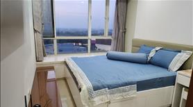 Apartment for rent near AEON, VSIP 1 Binh Duong HCM City - Ảnh 12