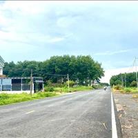 Cần tiền bán gấp 10X45m=450m2, đất s.hồng MT Nhựa ngay Kcn Minh Hưng, sát chợ giá 470TR