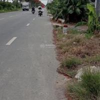 Đất Chính Chủ Xã Xuyên Mộc- Diện tích Lớn Đẹp, Giá Siêu Hợp Lý 6 Tỷ 3