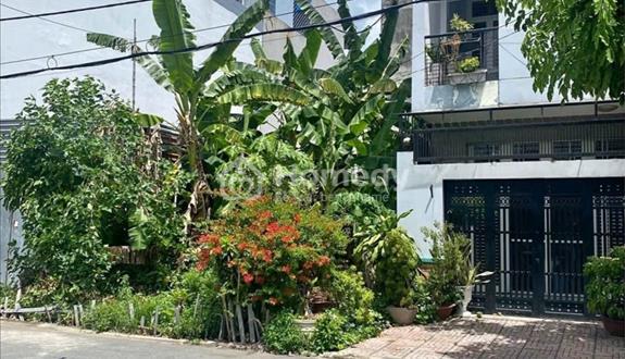 Cần ra hàng vài nền đất sổ sẵn kdc Bình Hưng ngay BXQ8 - Ảnh 1