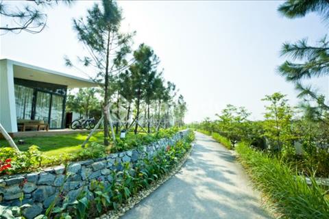 Biệt thự Flamingo Đại Lải Resort, giá chỉ 2,9 tỷ, trực tiếp chủ đầu tư