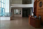 Dự án Coma Building Hà Nội - ảnh tổng quan - 2