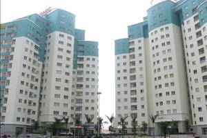 Conic Garden