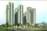 Dimond Riverside nằm ở trục đường chính và huyết mạch của thành phố nên điều kiện di chuyển rất dễ dàng.