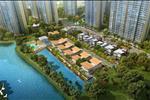 Dự án River Terrace tọa lạc ngay mặt tiền Đường Vành Đai Trong, ngay góc giao với Đường cao tốc Thành phố Hồ Chí Minh – Long Thành – Dầu Giây, thuộc phường Phú Hữu, Quận 9, giáp ranh quận 2 – đặc khu hành chính, văn hoá phía Đông thành phố, nơi được tập trung đầu tư về cơ sở hạ tầng với hàng loạt các tuyến đường trọng điểm.