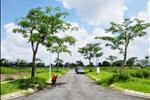 Khu dân cư có hệ thống nước đi âm, hệ thống cây xanh phủ rộng, tạo môi trường trong xanh tại dự án.