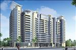 Căn hộ được xây dựng trên diện tích 9184 m2, bao gồm 399 căn hộ, 123 cao ốc, đáp ứng đa dạng nhu cầu của khách hàng.