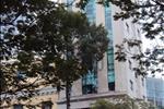 Tòa nhà Empire Tower gồm 14 tầng phân chia cho thuê văn phòng, tọa lạc tại khu vực trung tâm thành phố. 