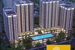 Park Vista tọa lạc tại ngay khu vực trung tâm phía Nam Sài Gòn, trên tuyến đường Nguyễn Hữu Thọ với 6 làn xe. Dự án còn được thừa hưởng toàn bộ hệ thống tiện ích khu vực như bệnh viện, các trường đại học, trường học các cấp, trung tâm thương mại giải trí lớn,...