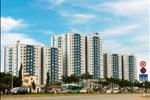 Khu căn hộ Carina Plaza cung cấp 736 căn hộ 02 phòng ngủ với 04 loại diện tích 86,2 m2; 91,34 m2; 99,76 m2 và 105,2 m2.