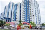 Khu căn hộ Carina Plaza được Công ty Tư vấn Đầu tư và Xây dựng Quốc tế (ICIC) thiết kế với phong cách hiện đại, hướng đến thiên nhiên.