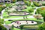 Phối cảnh Khu công viên Hồng Hà Eco City với ý tưởng xanh chủ đạo được thiết kế đẹp mắt và tiện lợi tối ưu.