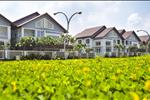 The Pegasus Residence - ảnh tổng quan - 3