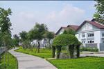 The Pegasus Residence - ảnh tổng quan - 7