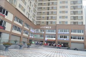 XpHomes Tân Lập - Khu đô thị Tân Tây Đô