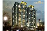 Dự án căn hộ Amber Court do Công ty Cổ phần Đầu tư Địa ốc Đồng Nai phân phối với mức giá hấp dẫn chỉ từ 1.350.000.000 VNĐ/ căn, chưa khấu trừ chiết khấu và các chương trình khuyến mãi kèm theo.