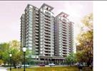 Amber Court có tỷ lệ cây xanh và công cộng cao, đến 42,1%, hứa hẹn mang đến cho cư dân môi trường sống trong lành, tiện nghi.