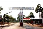 Khu nhà biệt thự có 99 căn. Khu nhà phố 1 trệt 1 lầu có 198 căn. Khu nhà phố 1 trệt 2 lầu có 279 căn. Khu nhà phố trệt có 285 căn.