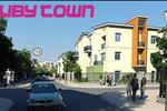 Khu dân cư Ruby Town được xây dựng nhằm đáp ứng nhu cầu về nhà ở cho người dân nội tỉnh nói riêng và người đến cư trú, sinh sống tại Đồng Nai nói chung. Khu đất được phân bố hợp lý gồm khu nhà liên kế và khu công viên cây xanh thoáng mát, mang đến không gian sống thông thoáng cho cư dân.