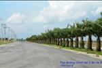 Đất nền tại Nature Village được xây dựng trên khu đất rộng 94,1 ha, được quy hoạch để xây dựng nhà liên kế, biệt thự, với nhiều loại diện tích đa dạng, đáp ứng nhu cầu an cư của người dân.