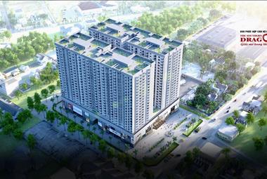Dự án The Southern Dragon TP Hồ Chí Minh - ảnh giới thiệu