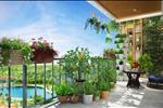  Xanh 4 lớp cùng cộng đồng Anland: Xanh trong nhà – Xanh ban công – Xanh tòa nhà – Xanh khu đô thị (Vườn treo, hệ cây thủy sinh, “vườn gia vị” trong nhà, sân vườn thiết kế đặc biệt dành cho trẻ em)