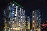 Hưng Ngân Garden bố trí 24 căn hộ thương mại ở khu vực tầng trệt, đáp ứng nhu cầu đầu tư kinh doanh dịch vụ và khu căn hộ chung cư từ tầng 2 tới tầng 22.