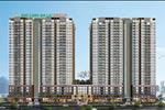 Căn hộ Đức Long Golden Land được xây dựng với 4 block 28 tầng,1 tầng trệt, 3 tầng thương mại, bao gồm căn hộ thông thường thiết kế 2 vả 3 phòng ngủ, căn Shophouse và một vài căn hộ Penthouse.