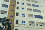 Điểm nổi bật của dự án là thiết kế nhỏ gọn với diện tích 50m2 đã có 2 phòng ngủ, không gian ánh sáng tự nhiên được tân dụng tối đa, căn hộ được thiết kế bởi nhiều chuyên gia hàng đầu trong nước và nước ngoài, đảm bảo sự hài hòa với phong thủy gia chủ. 