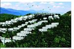 Marina Hill Villa là một loại hình bất động sản mới trong phân khúc bất động sản nghỉ dưỡng tại Nha Trang. Marina Hill là sự kết hợp trọn vẹn, hoàn hảo của đồi và biển tạo nên “ bản giao hưởng của biển và thiên nhiên” theo đó với đầy đủ các phân khu chức năng bao gồm nhà hàng, osen, khu spa, phòng gym, khu thể thao, vui chơi, giải trí, hồ bơi, phòng đọc sách quốc tế…mang đến cho khách hàng những phút giây nghỉ dưỡng khó quên.	