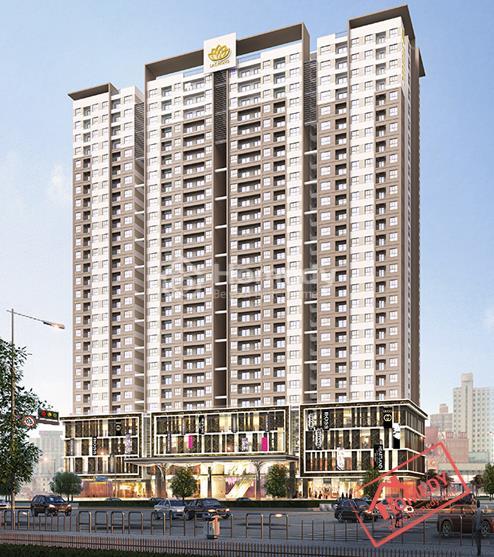 lac hong Lotus 2 N01 T1